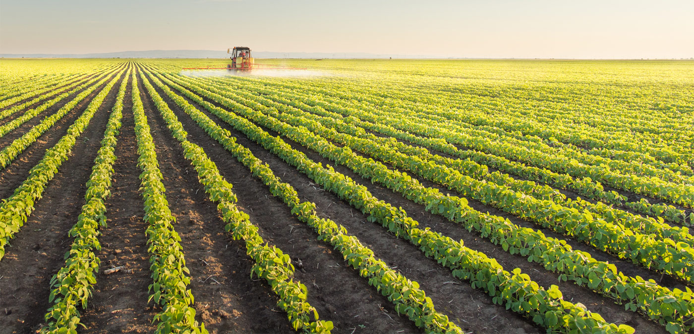 Farming: Grains, pulses, oil seeds…